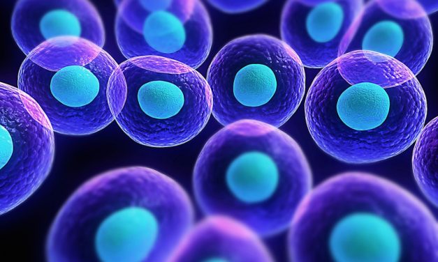 Le cellule staminali e la calvizia   novità per il 2017 ?!