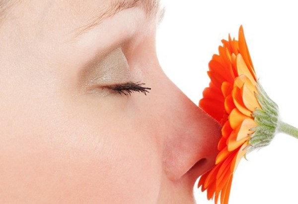 Capelli sensibili agli odori? Profumo contro la calvizie